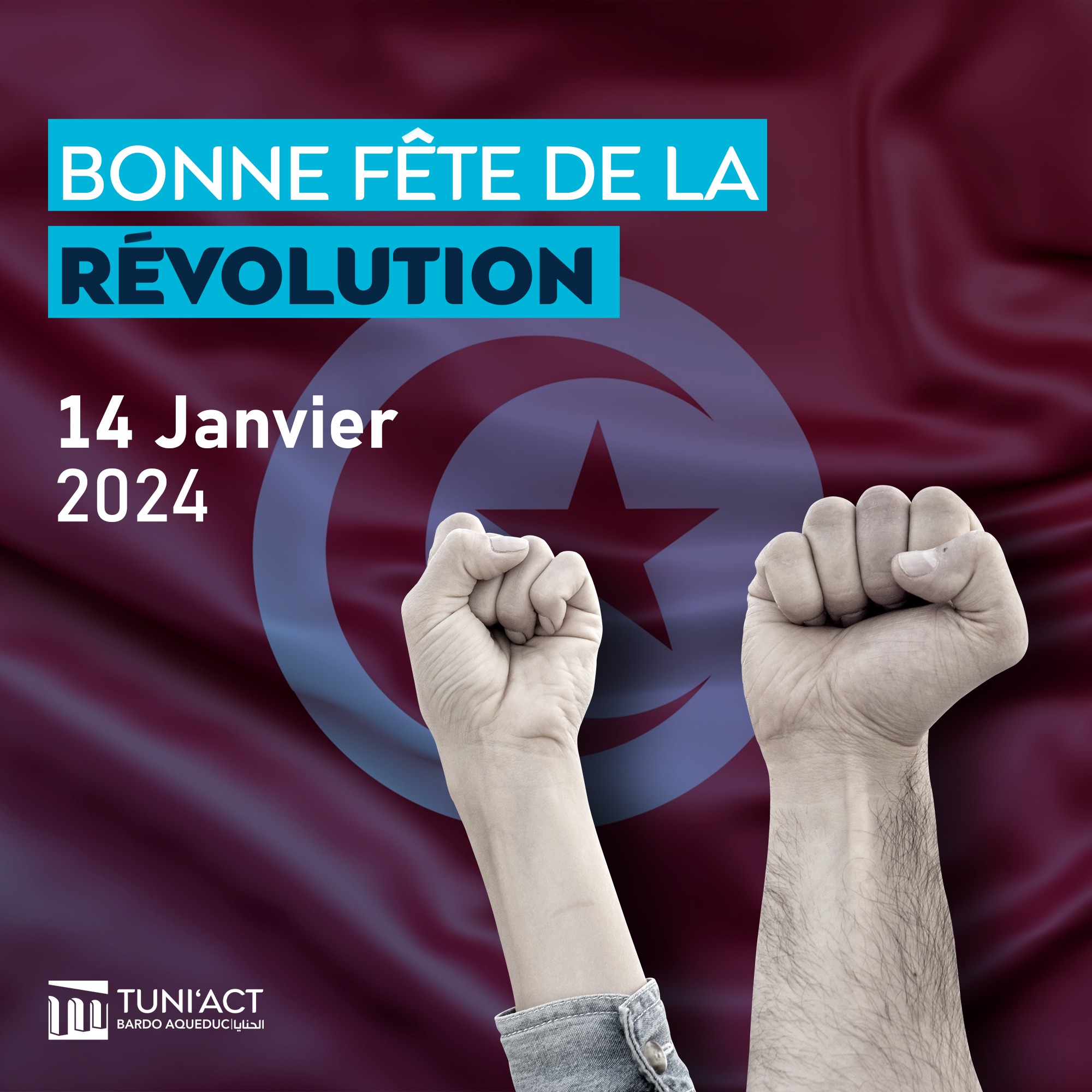 Bonne fête de la révolution à tous les tunisiens